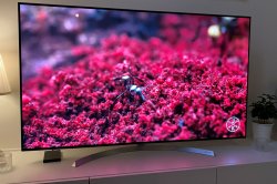 LG OLED3.JPG