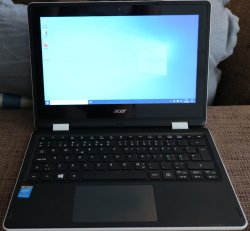 acer1.jpg