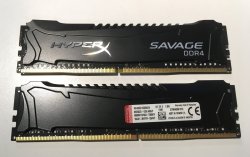 savage2x4gb2666cl13.jpg