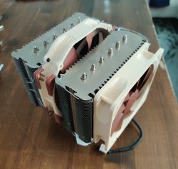 noctua1.jpg