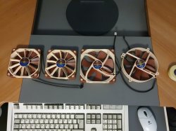 Noctua2.jpg