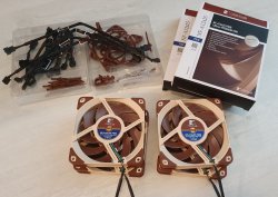 noctua.jpg