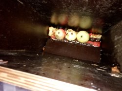 IMG_20160831_182308.jpg