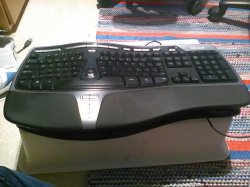 ergonappis.jpg