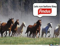 findus_o_1141493.jpg