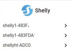 shelly.JPG