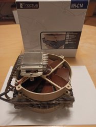 noctua1.jpg