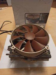 noctua2.jpg