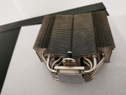 noctua1.jpg