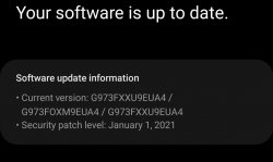 Screenshot_20210213-112506_Software update.jpg