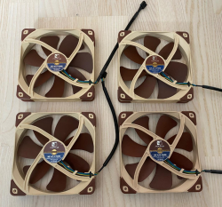 noctua.png