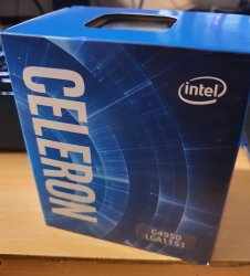 celeron.jpg