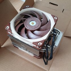 noctua-nh-u12a.jpg