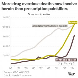 heroin_fentanyl_prescription_opioids_2015_chart_vox_1.jpeg