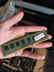 Ram2.jpg