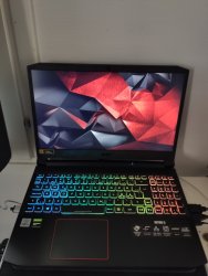 Acer 2.jpg