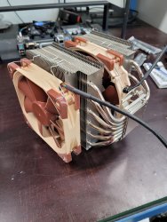 Noctua.jpg