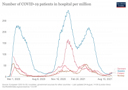 current-covid-hospitalizations-per-million.png