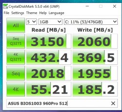 BIOS1003 960Pro.jpg