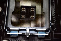 P5Q3 CPU socket.jpg