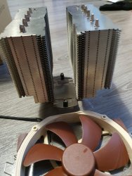 noctua1.jpg