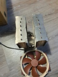 noctua2.jpg