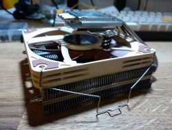 DSC_0241.JPG