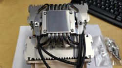 noctua1.jpg