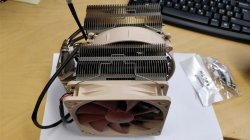 noctua2.jpg