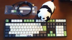 panda1.jpg