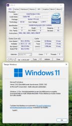 Windows11 ja Pena4.jpg