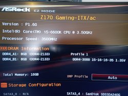 bios.jpg