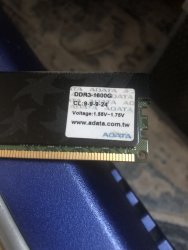 IMG_6976.jpeg IMG_6976.jpeg