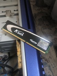 IMG_6978.jpeg IMG_6978.jpeg